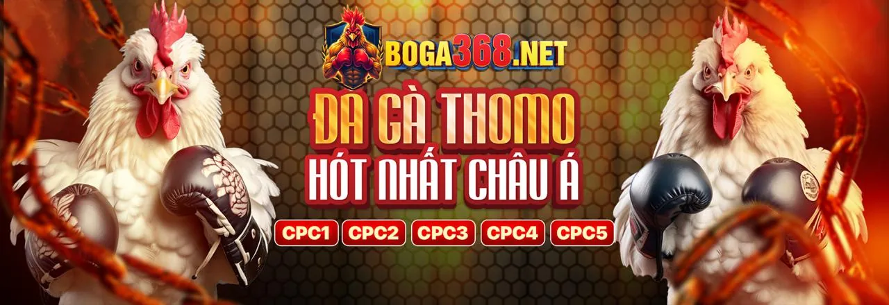 Hình ảnh chính blog q79 casino với các tin tức mới nhất