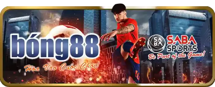 Hoàn trả tiền cược thể thao hàng tuần